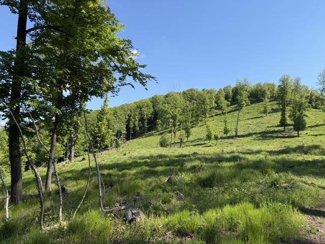 Muzsla panoráma — nyugati Mátra — 4